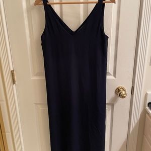 Babaton Navy Dress
